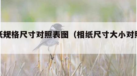 相纸规格尺寸对照表图（相纸尺寸大小对照表）
