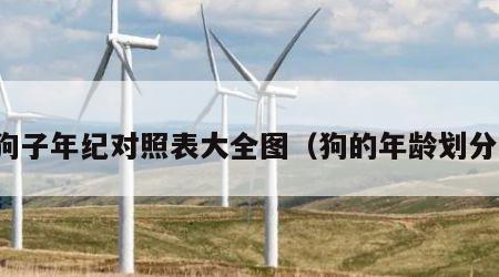 狗子年纪对照表大全图（狗的年龄划分）