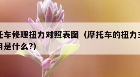 摩托车修理扭力对照表图（摩托车的扭力主要作用是什么?）