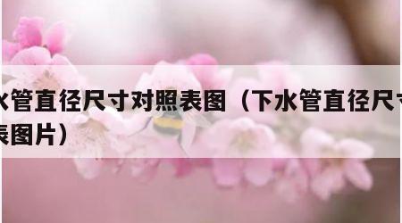 下水管直径尺寸对照表图（下水管直径尺寸对照表图片）