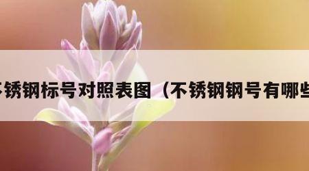 不锈钢标号对照表图（不锈钢钢号有哪些）