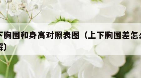 上下胸围和身高对照表图（上下胸围差怎么量图解）