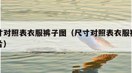 尺寸对照表衣服裤子图（尺寸对照表衣服裤子图片）