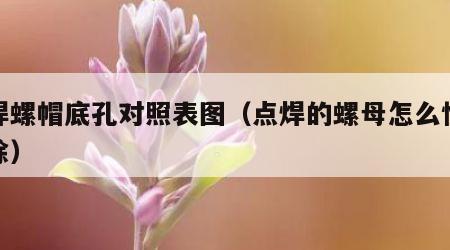 点焊螺帽底孔对照表图（点焊的螺母怎么快速拆除）