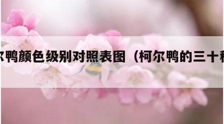柯尔鸭颜色级别对照表图（柯尔鸭的三十种颜色）