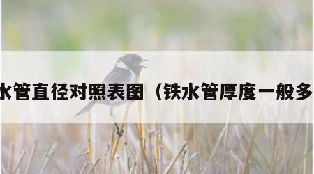 铁水管直径对照表图（铁水管厚度一般多少）