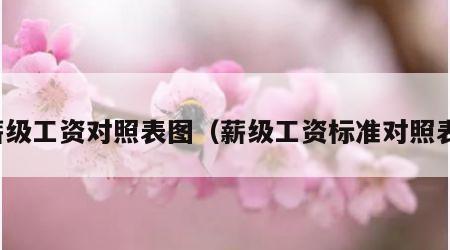 薪级工资对照表图（薪级工资标准对照表）
