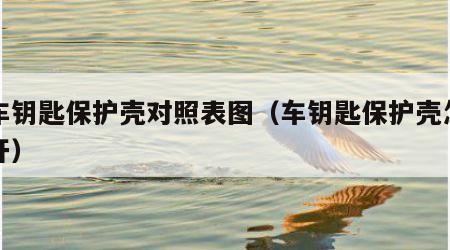 汽车钥匙保护壳对照表图（车钥匙保护壳怎么打开）