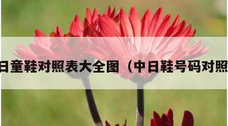 中日童鞋对照表大全图（中日鞋号码对照表）