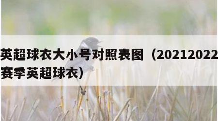英超球衣大小号对照表图（20212022赛季英超球衣）