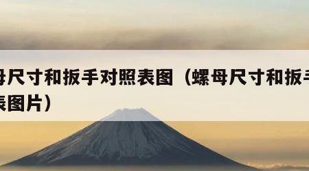 螺母尺寸和扳手对照表图（螺母尺寸和扳手对照表图片）