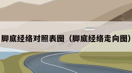 脚底经络对照表图（脚底经络走向图）