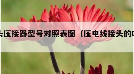 线头压接器型号对照表图（压电线接头的叫什么）