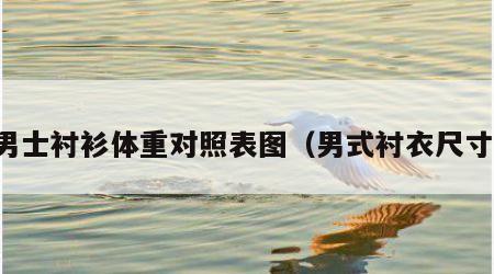 男士衬衫体重对照表图（男式衬衣尺寸）