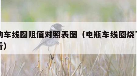 电动车线圈阻值对照表图（电瓶车线圈烧了怎么看）