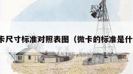 微卡尺寸标准对照表图（微卡的标准是什么）