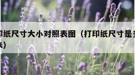 打印纸尺寸大小对照表图（打印纸尺寸是多少厘米）