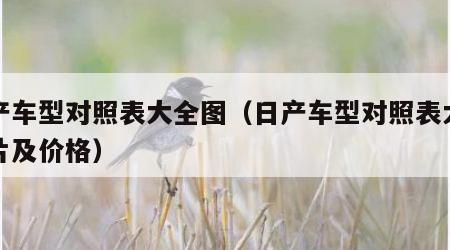 日产车型对照表大全图（日产车型对照表大全图片及价格）