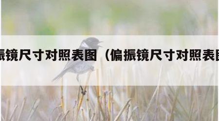偏振镜尺寸对照表图（偏振镜尺寸对照表图片）