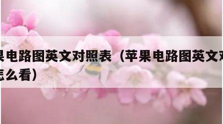 苹果电路图英文对照表（苹果电路图英文对照表怎么看）