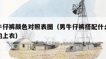 男牛仔裤颜色对照表图（男牛仔裤搭配什么颜色的上衣）