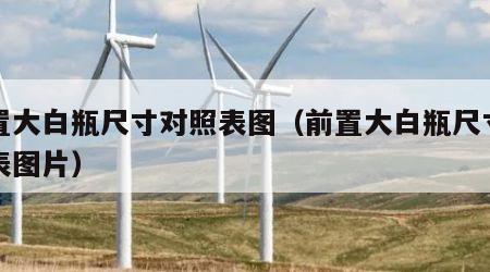前置大白瓶尺寸对照表图（前置大白瓶尺寸对照表图片）