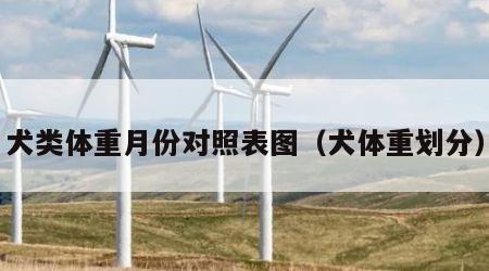 犬类体重月份对照表图（犬体重划分）