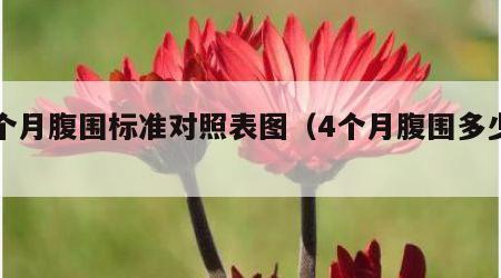 四个月腹围标准对照表图（4个月腹围多少正常）