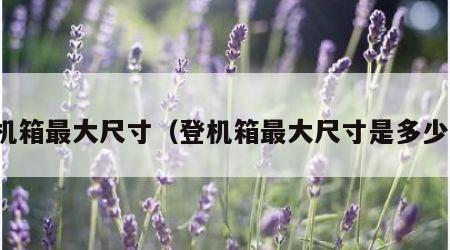 登机箱最大尺寸（登机箱最大尺寸是多少寸）