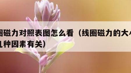 线圈磁力对照表图怎么看（线圈磁力的大小和哪几种因素有关）