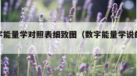 数字能量学对照表细致图（数字能量学说的很准）