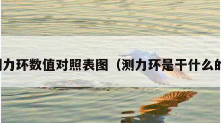 测力环数值对照表图（测力环是干什么的）