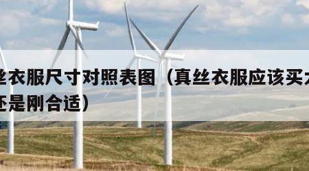 真丝衣服尺寸对照表图（真丝衣服应该买大一码还是刚合适）