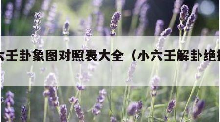 小六壬卦象图对照表大全（小六壬解卦绝招视频）