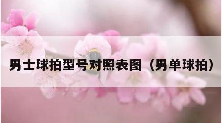 男士球拍型号对照表图（男单球拍）