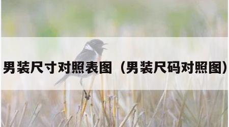男装尺寸对照表图（男装尺码对照图）