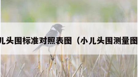 小儿头围标准对照表图（小儿头围测量图片）