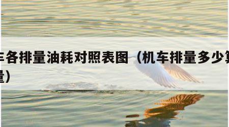 机车各排量油耗对照表图（机车排量多少算大排量）