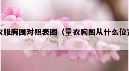 量衣服胸围对照表图（量衣胸围从什么位置开始）