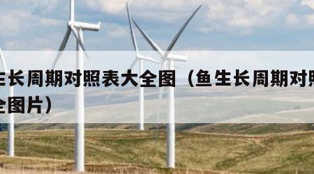 鱼生长周期对照表大全图（鱼生长周期对照表大全图片）