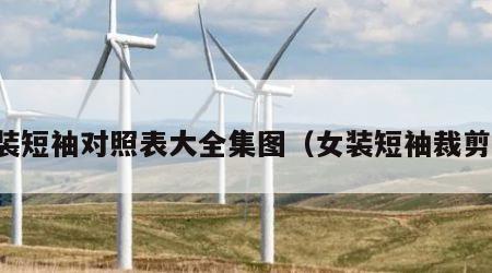 女装短袖对照表大全集图（女装短袖裁剪图）