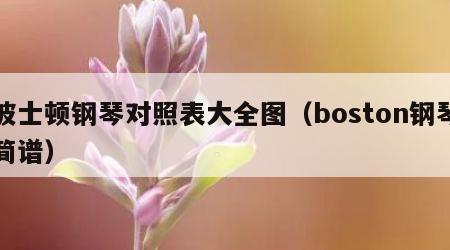 波士顿钢琴对照表大全图（boston钢琴简谱）