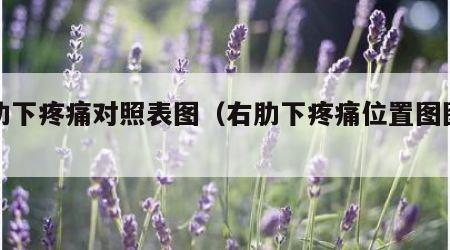 右肋下疼痛对照表图（右肋下疼痛位置图图片）