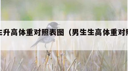 男生升高体重对照表图（男生生高体重对照表）