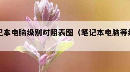 笔记本电脑级别对照表图（笔记本电脑等级划分）