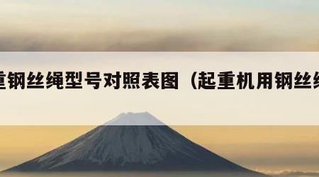 起重钢丝绳型号对照表图（起重机用钢丝绳规格）