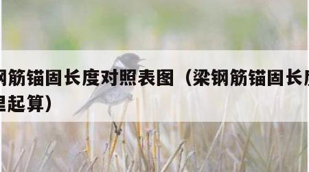 梁钢筋锚固长度对照表图（梁钢筋锚固长度从哪里起算）