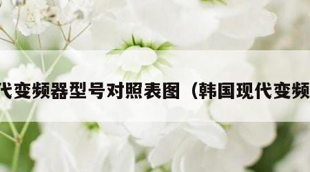 现代变频器型号对照表图（韩国现代变频器）