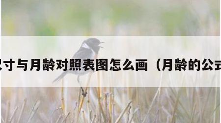 尺寸与月龄对照表图怎么画（月龄的公式）