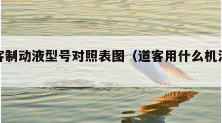 道客制动液型号对照表图（道客用什么机油好）